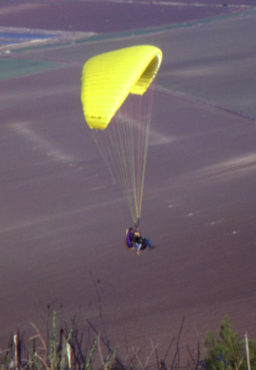 Fiesta Tandem