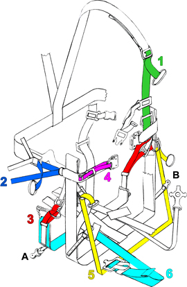 the scheme of harness